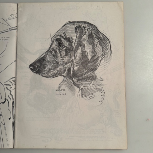 How to Draw Dogs book by Walter Foster - Picture 4 of 4